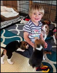 Everett with Puppies wk 5 pix 5